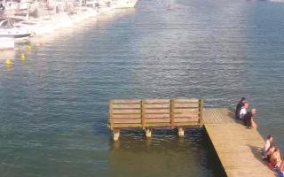 Jezioro Niegocin - 03-08-2025 14:45