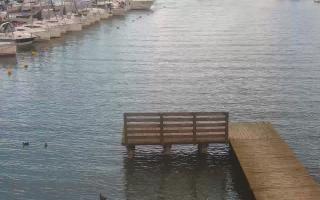 Jezioro Niegocin - 03-08-2025 15:27