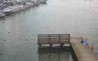 Jezioro Niegocin - 03-08-2025 16:08