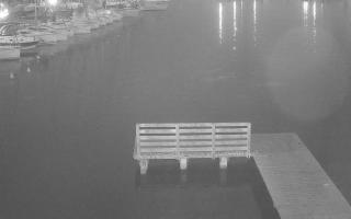 Jezioro Niegocin - 03-08-2025 19:15