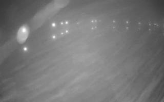 Jezioro Niegocin - 03-11-2025 00:44