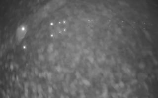 Jezioro Niegocin - 03-11-2025 00:54