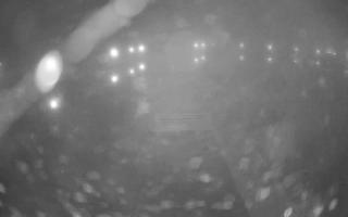 Jezioro Niegocin - 03-11-2025 01:15