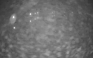 Jezioro Niegocin - 03-11-2025 01:26