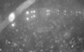 Jezioro Niegocin - 03-11-2025 01:46