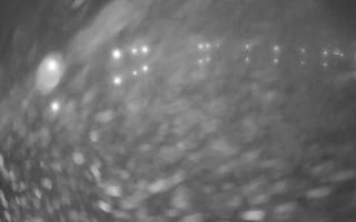 Jezioro Niegocin - 03-11-2025 02:07