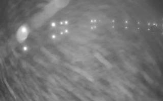 Jezioro Niegocin - 03-11-2025 02:17