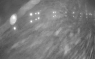 Jezioro Niegocin - 03-11-2025 02:28