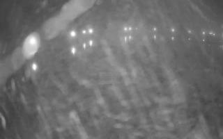 Jezioro Niegocin - 03-11-2025 02:38