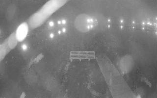 Jezioro Niegocin - 03-11-2025 02:49