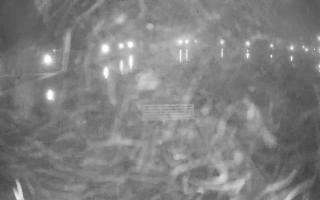 Jezioro Niegocin - 18-12-2025 15:51