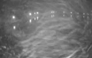 Jezioro Niegocin - 18-12-2025 16:23