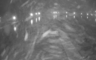 Jezioro Niegocin - 18-12-2025 17:35