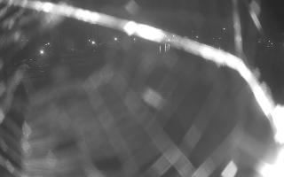 Jezioro Niegocin - 27-06-2026 20:40
