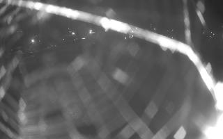 Jezioro Niegocin - 27-06-2026 21:32