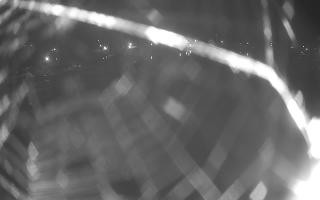 Jezioro Niegocin - 27-06-2026 21:52