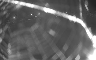 Jezioro Niegocin - 27-06-2026 22:24