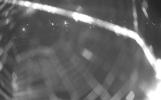Jezioro Niegocin - 27-06-2026 23:05