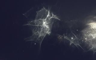 Niechorze latarnia - 25-01-2026 22:31