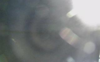 Dźwirzyno - plaża wschód - 01-11-2025 16:14