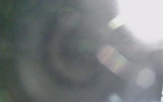 Dźwirzyno - plaża wschód - 01-11-2025 16:22