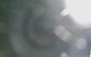 Dźwirzyno - plaża wschód - 01-11-2025 16:30