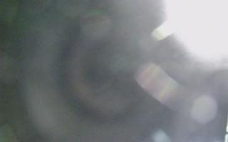 Dźwirzyno - plaża wschód - 01-11-2025 16:38