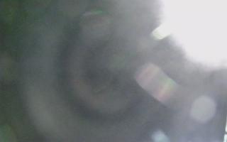 Dźwirzyno - plaża wschód - 01-11-2025 19:11