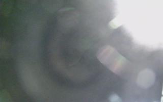 Dźwirzyno - plaża wschód - 01-11-2025 19:19