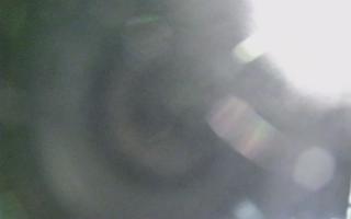 Dźwirzyno - plaża wschód - 01-11-2025 19:36