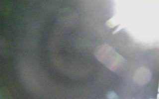 Dźwirzyno - plaża wschód - 02-11-2025 18:48