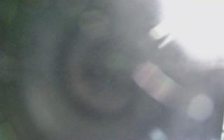 Dźwirzyno - plaża wschód - 02-11-2025 19:13