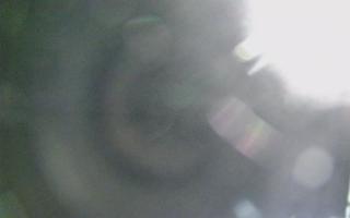 Dźwirzyno - plaża wschód - 02-11-2025 22:58