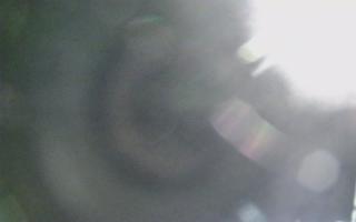 Dźwirzyno - plaża wschód - 02-11-2025 23:22