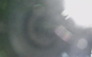 Dźwirzyno - plaża wschód - 03-11-2025 01:07