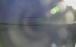 Dźwirzyno - plaża wschód - 15-03-2026 17:52