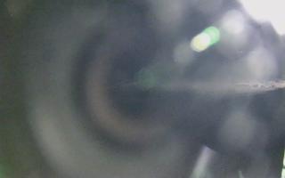 Dźwirzyno - plaża wschód - 21-03-2026 19:44