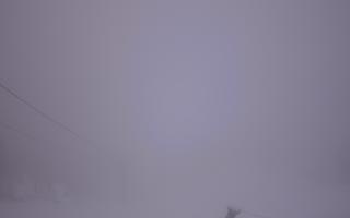 Polana Szymoszkowa - 29-03-2026 04:29