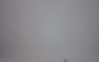 Polana Szymoszkowa - 29-03-2026 04:36