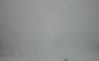 Polana Szymoszkowa - 29-03-2026 04:51