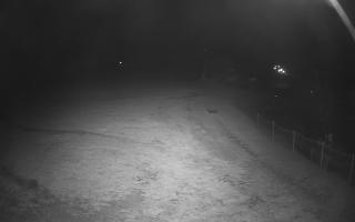 Gryglówka - Zieleniec Ski Arena - 03-05-2025 01:54