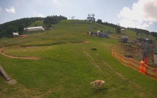 Gryglówka - Zieleniec Ski Arena - 19-06-2025 13:34