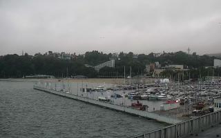 Gdynia Marina - 12-07-2025 02:32