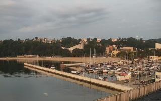Gdynia Marina - 03-08-2025 02:40