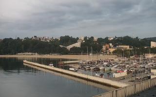 Gdynia Marina - 03-08-2025 02:48
