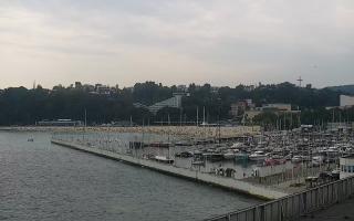 Gdynia Marina - 28-08-2025 11:34