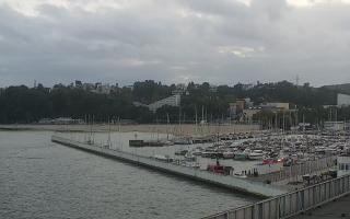Gdynia Marina - 16-09-2025 16:47