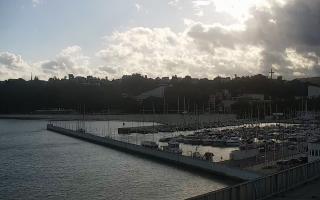 Gdynia Marina - 17-09-2025 14:39