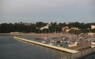 Gdynia Marina - 18-09-2025 04:04