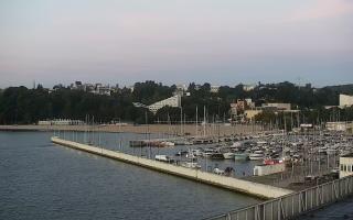 Gdynia Marina - 18-09-2025 04:14